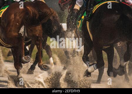 Wettbewerbsfähige Pferderennen in schweren Sandsturm. Stockfoto