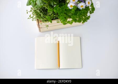 Notizbuch mit Kräutern und Blumen in Holzkiste Stockfoto