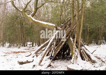 Waldbaumbütte aus Zweigen und Ästen bedeckt mit Schnee Stockfoto