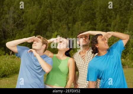 Vier Freunde schauen nach oben Stockfoto