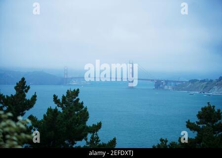 Panoramablick auf eine Brücke im Nebel, Golden Gate Bridge, San Francisco, Kalifornien, USA Stockfoto