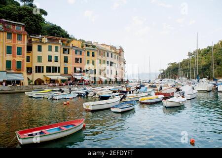 Boote in einem Hafen, italienische Riviera, Portofino, Genua, Ligurien, Italien Stockfoto