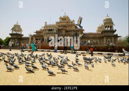Menschen, die Tauben vor einem Museum füttern, Government Central Museum, Jaipur, Rajasthan, Indien Stockfoto