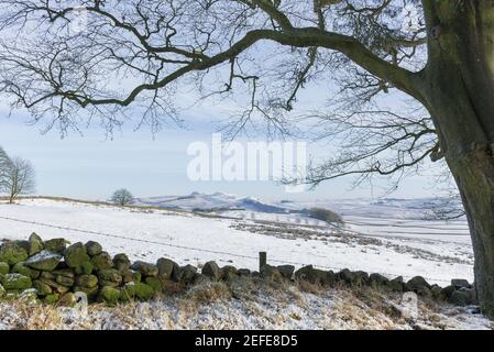 Der Blick nach Westen entlang der Hadrianmauer, von Cockmount Hill aus gesehen - Northumberland, UK Stockfoto