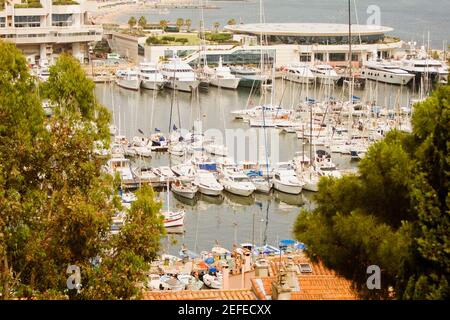 Boote am Hafen, Vieux Port, Cote dÅ½Azur, Cannes, Provence Alpes Cote DÅ½Azur, Frankreich Stockfoto