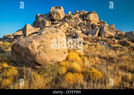 Granitfelsen, Wild Horse Canyon Road, nahe Mid Hills Campground, Mojave National Preserve, Kalifornien, USA Stockfoto