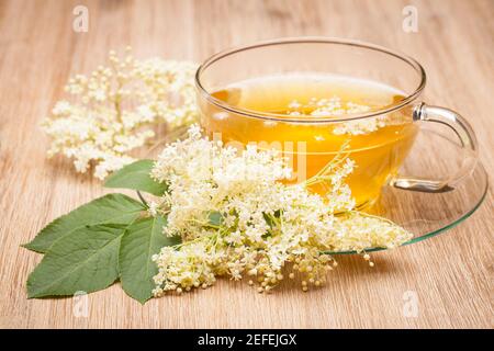 Holunderblütentee auf Holztisch. Holunderblütentee (Sambucus nigra Stockfoto