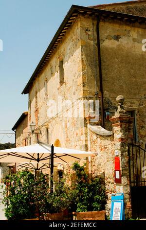 Topfpflanzen und Sonnenschirme vor einem Gebäude, Piazza Roma, Monteriggioni, Provinz Siena, Toskana, Italien Stockfoto