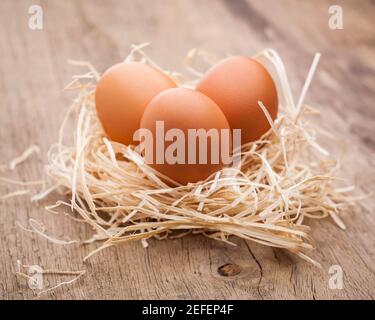 Drei Eier in einem Nest auf einem Holztisch Stockfoto