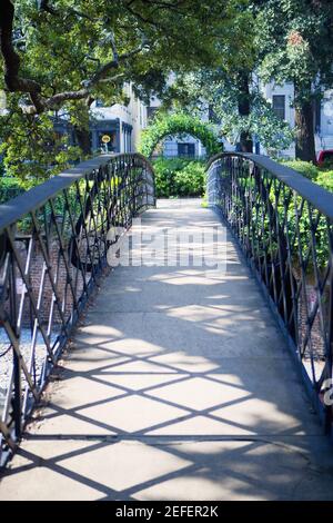 Eingang einer mit Efeu bedeckten Fußgängerbrücke, Savannah, Georgia, USA Stockfoto