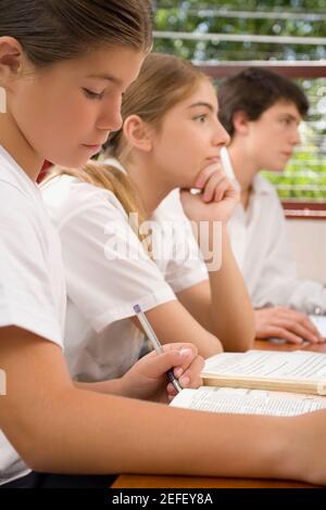 Zwei Schülerinnen und ein Schuljunge, der in einem Klassenzimmer studiert Stockfoto
