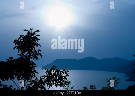 Silhouette von Bäumen am Meer, Italienische Riviera, Nationalpark Cinque Terre, Mar Ligure, Cinque Terre, La Spezia, Ligurien, Italien Stockfoto