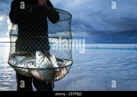 Asian Fischer steht in einem See, während hält ein Schwarm von großen Common Silver Barb in einem Fischnetz, Sturm über dem See Hintergrund. Konzept der Esskultur. Stockfoto