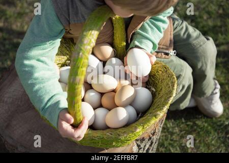 Viele weiße und braune Hühner und Gans frisch gepflückte Eier in einem grünen Korb in der Hand des Kindes. Mit der anderen Hand hält er ein großes weißes Ei. Bauernhof, Stockfoto