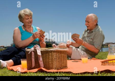 Ältere Paare spielen Karten beim Picknick Stockfoto