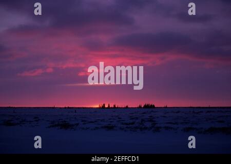 Sonnenuntergang über einer gefrorenen Landschaft, Churchill, Manitoba, Kanada Stockfoto