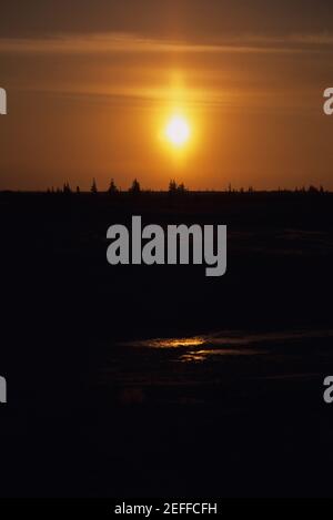 Sonnenuntergang über einem Wald, Churchill, Manitoba, Kanada Stockfoto