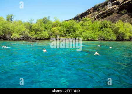 Gruppe von Menschen, die in einem Fluss schwimmen, Captain CookÅ½s Monument, Kealakekua Bay, Kona Coast, Big Island, Hawaii-Inseln, USA Stockfoto