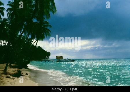 Blick auf einen malerischen Strand mit Palmen, Pigeon Point, Tobago, Karibik Stockfoto