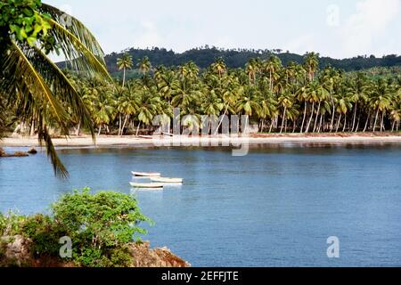 Blick auf einen malerischen Strand mit Palmen, Pigeon Point, Tobago, Karibik Stockfoto