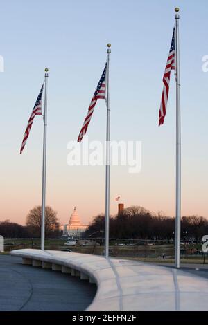Low-Angle-Ansicht von drei amerikanischen Flaggen, Washington DC, USA Stockfoto