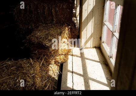 Licht scheint durch ein Fenster auf das Heu Im Stall Stockfoto