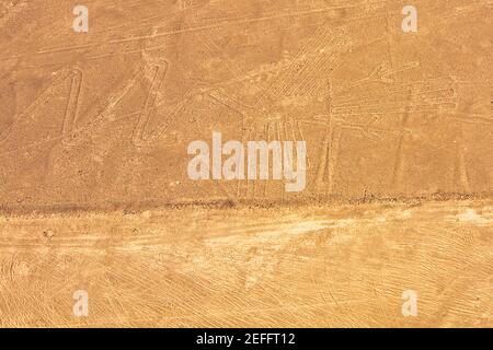 Luftaufnahme von Nazca-Linien, die eine Gannette in einer Wüste darstellen, Nazca, Peru Stockfoto