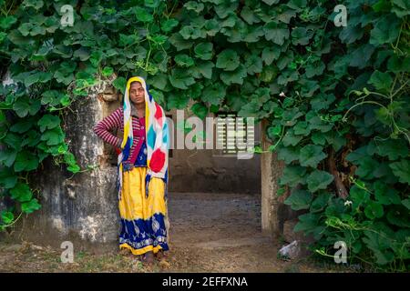 Schöne junge Zigeunerin in traditioneller Kleidung in verlassenen Gebäude und Flora in Wüstengebiet in der Nähe von Pushkar, Rajasthan, Indien gesetzt. Stockfoto