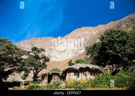 Bäume und Reetdachhütten vor einem Hügel, Sangalle Oasis, Colca Canyon, Peru Stockfoto