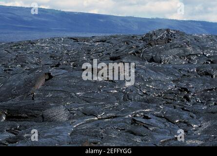 Muster in Pahoehoe Lava, Big Island, Hawaii Stockfoto