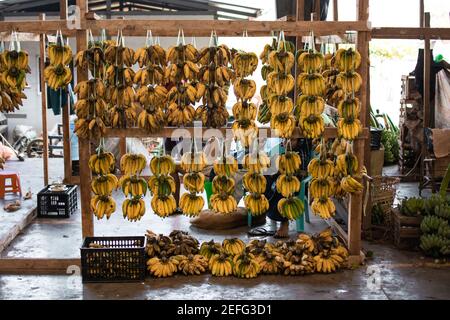 YANGON, MYANMAR - DECEMEBER 31 2019: Zwei Burmesen sitzen auf Plastikstühlen und verkaufen auf einem Straßenmarkt jede Menge reife gelbe Bananenbünde Stockfoto