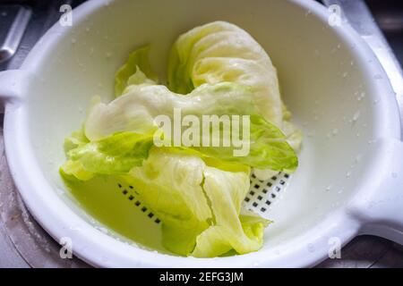 Eisbergsalatblätter, gewaschen und in einem Kunststoff-Sieb abtropfen lassen. Stockfoto