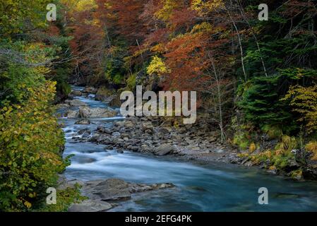 Ara-Fluss im Bujaruelo-Tal (Nationalpark Ordesa und Monte Perdido, Pyrenäen, Spanien) ESP: Río Ara en el valle de Buajruelo (PN Ordesa y Monte Perdido) Stockfoto