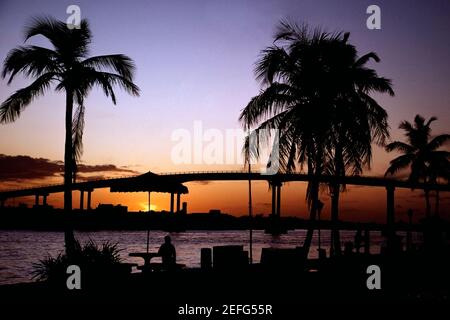 Palmen und eine Brücke gegen den Himmel, Bahamas Stockfoto