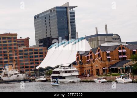 Gebäude am Wasser, Columbus Center, Inner Harbor, Baltimore, Maryland, USA Stockfoto