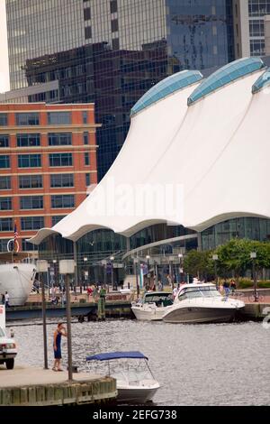 Boote, die an einem Hafen, Columbus Center, Inner Harbor, Baltimore, Maryland, USA Stockfoto
