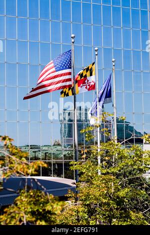 Drei Flaggen flattern vor einem Gebäude, Baltimore, Maryland, USA Stockfoto