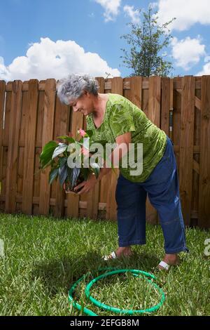 Seitenansicht einer senior Frau eine Pflanze Pflanzen Stockfoto