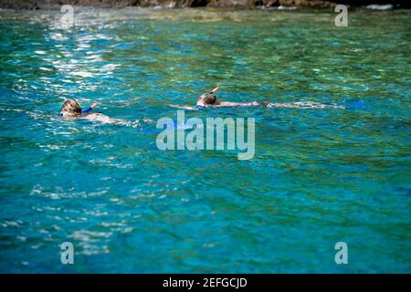 Zwei Personen schnorcheln CookÅ½s Meer, Captain Monument, Kealakekua Bay, Kona Coast, Big Island, Hawaii-Inseln, USA Stockfoto