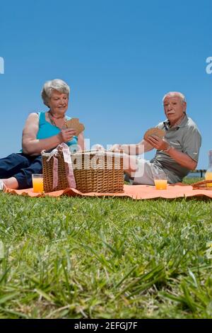 Ältere Paare spielen Karten beim Picknick Stockfoto