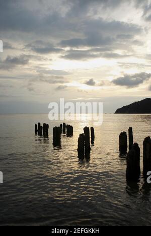 Holzpfosten im Meer, Taganga Bay, Departamento De Magdalena, Kolumbien Stockfoto