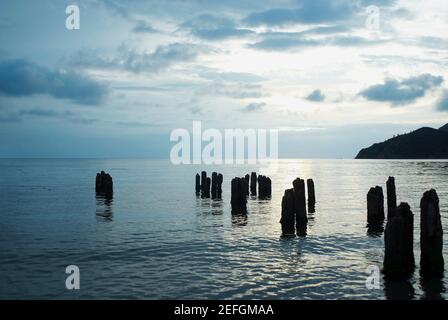 Holzpfosten im Meer, Taganga Bay, Departamento De Magdalena, Kolumbien Stockfoto