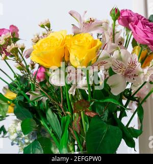 Nahaufnahme eines lebendigen Blumenstraußes Stockfoto