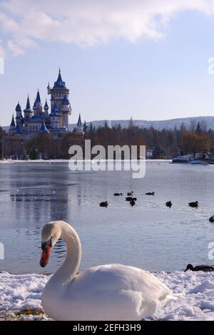 Schöner weißer Schwan im Schnee mit Blue Castle am Hintergrund Stockfoto