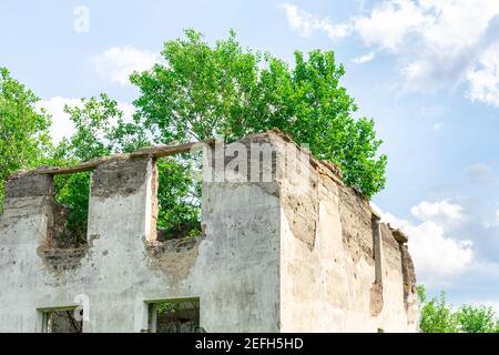 Bäume wachsen vom Dach eines alten zerstörten Hauses Stockfoto