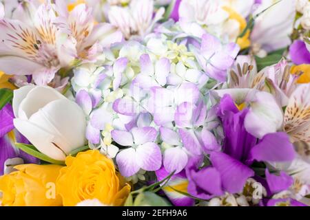 Gemischte bunte Blumen Hintergrund. Lebendige Farben von gemischten Blumen Hintergrund Stockfoto