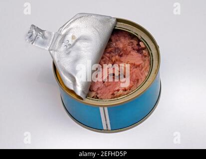 Offene Dose Thunfisch isoliert auf weißem Hintergrund Stockfoto
