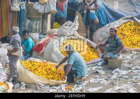 Bilder von Kolkata's Großhandel Blumenmarkt. Asiens größter Blumenmarkt in der Nähe von Mallick Ghat in Kalkutta. Millionen von Blumenbauern kommen hierher. Stockfoto