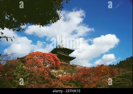 Low-Angle-Ansicht eines buddhistischen Tempels, Kiyomizu-Dera-Tempel, Kyoto-Präfektur, Japan Stockfoto