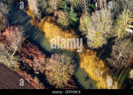 Luftaufnahme eines seine-Flüsschens, der durch einen bunten Wald in Mantes-la-Jolie, im Departement Yvelines (78200), Region Ile-de-France, Fran Stockfoto